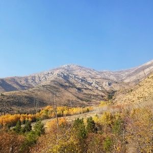 Meet your Posher, Danniele